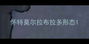 怀特莫尔拉布拉多形态