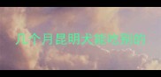 几个月昆明犬能吃别的