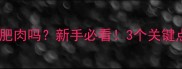 哈士奇能吃熟肥肉吗新手必看3个关键点让狗狗远离危险