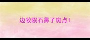 边牧陨石鼻子斑点