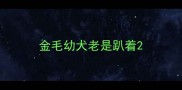 金毛幼犬老是趴着