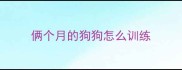 俩个月的狗狗怎么训练