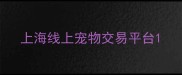 上海线上宠物交易平台