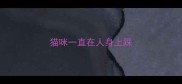 猫咪一直在人身上踩