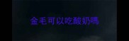 金毛可以吃酸奶嗎