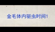 金毛体内驱虫时间