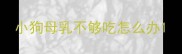 小狗母乳不够吃怎么办