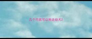几个月就可以抱走幼犬