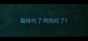 猫咪吃了鸡肉吐了