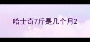 哈士奇7斤是几个月