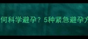 狗狗意外怀孕后如何科学避孕5种紧急避孕方法及注意事项全