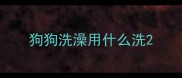 狗狗洗澡用什么洗