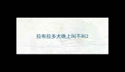 拉布拉多犬晚上叫不叫