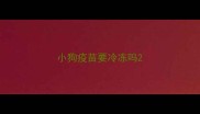小狗疫苗要冷冻吗