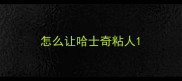 怎么让哈士奇粘人