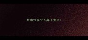 拉布拉多冬天鼻子变红