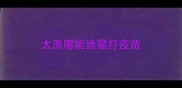 太原哪能给猫打疫苗