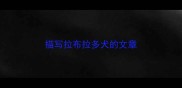 描写拉布拉多犬的文章