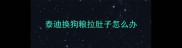 泰迪换狗粮拉肚子怎么办