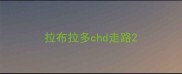 拉布拉多chd走路
