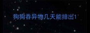 狗狗吞异物几天能排出