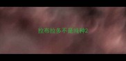拉布拉多不是纯种