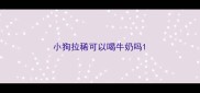 小狗拉稀可以喝牛奶吗