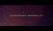 金毛犬美毛粉有必要吗最新养狗指南大公开