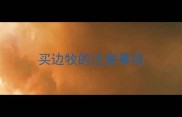 买边牧的注意事项