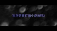 狗狗需要打细小疫苗吗