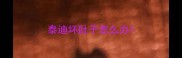 泰迪坏肚子怎么办