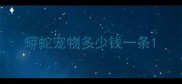 蟒蛇宠物多少钱一条