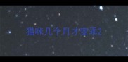 猫咪几个月才变乖