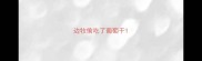边牧偷吃了葡萄干