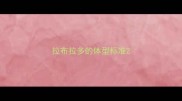 拉布拉多的体型标准