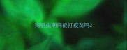 狗驱虫期间能打疫苗吗