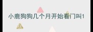 小鹿狗狗几个月开始看门叫