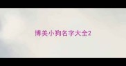 博美小狗名字大全