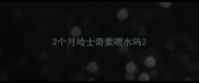 2个月哈士奇要喂水吗