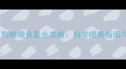 哈士奇每日狗粮喂食量全攻略科学喂养指南与注意事项