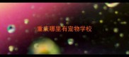 重庆哪里有宠物学校