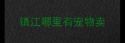镇江哪里有宠物卖