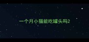 一个月小猫能吃罐头吗