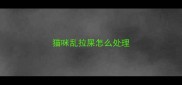 猫咪乱拉屎怎么处理