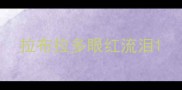 拉布拉多眼红流泪