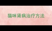 猫咪肾病治疗方法