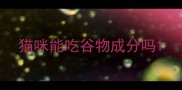 猫咪能吃谷物成分吗
