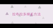 拉布拉多掉毛方法