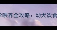 二十多天的泰迪犬科学喂养全攻略幼犬饮食营养与疾病预防指南