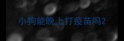 小狗能晚上打疫苗吗